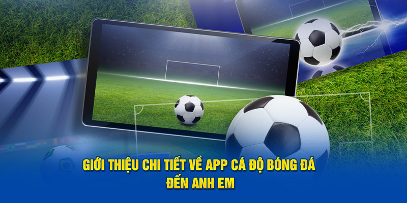 Giới thiệu chi tiết về app cá độ bóng đá đến anh em