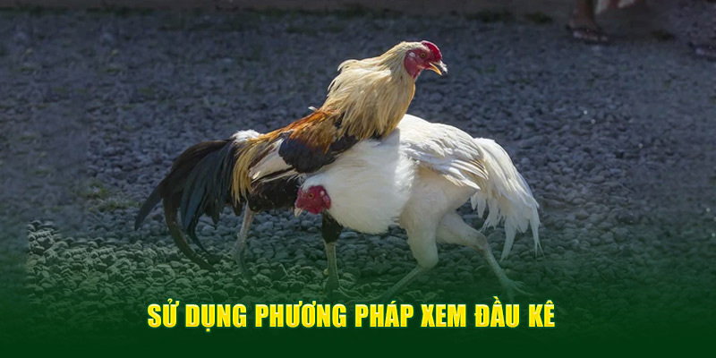 Ảnh: Sử dụng phương pháp xem đầu kê